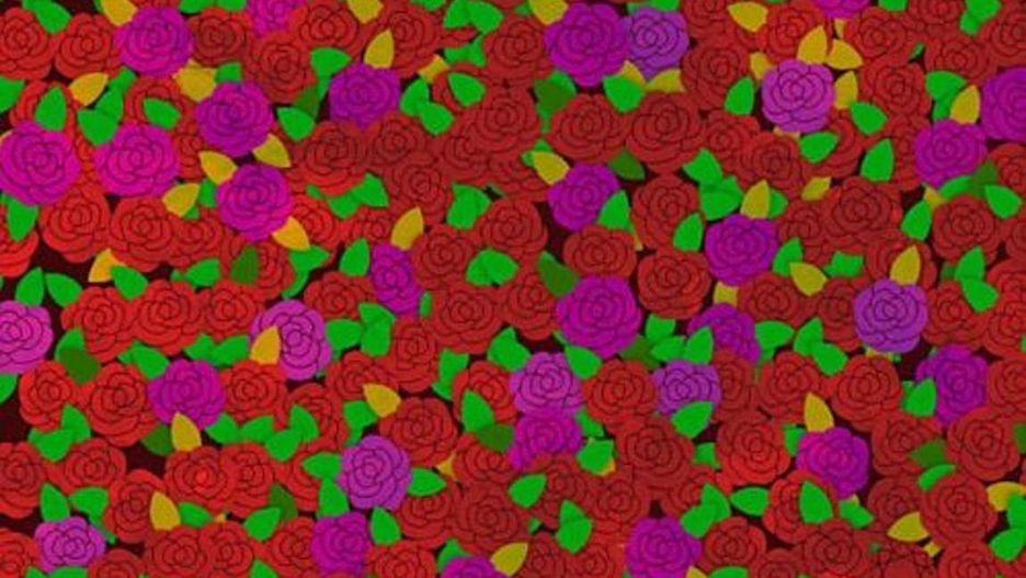 Znajdziesz ukryty rubin? Tylko nielicznym się udaje