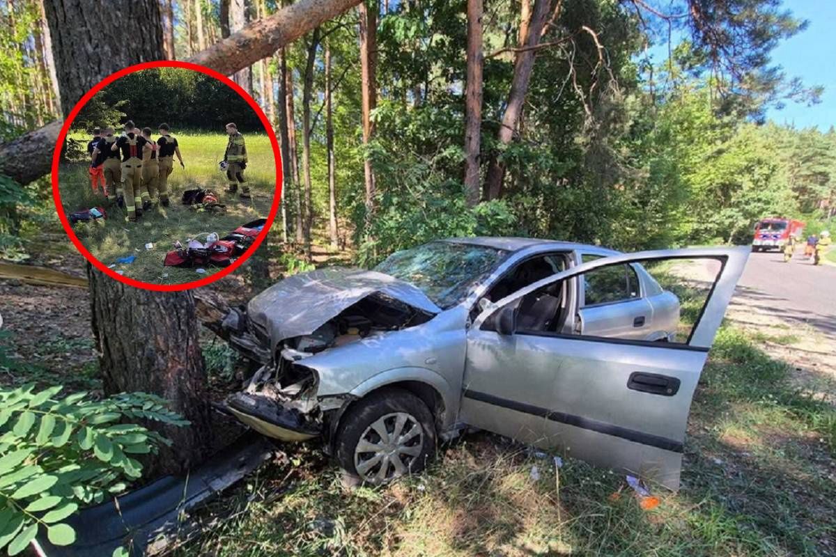 Dramat 4-latki po wypadku. Jej stan jest krytyczny. Mamy głos prokuratury