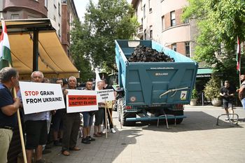 Rolnicy z całej Europy protestują w Brukseli. Obawiają się o przyszłość