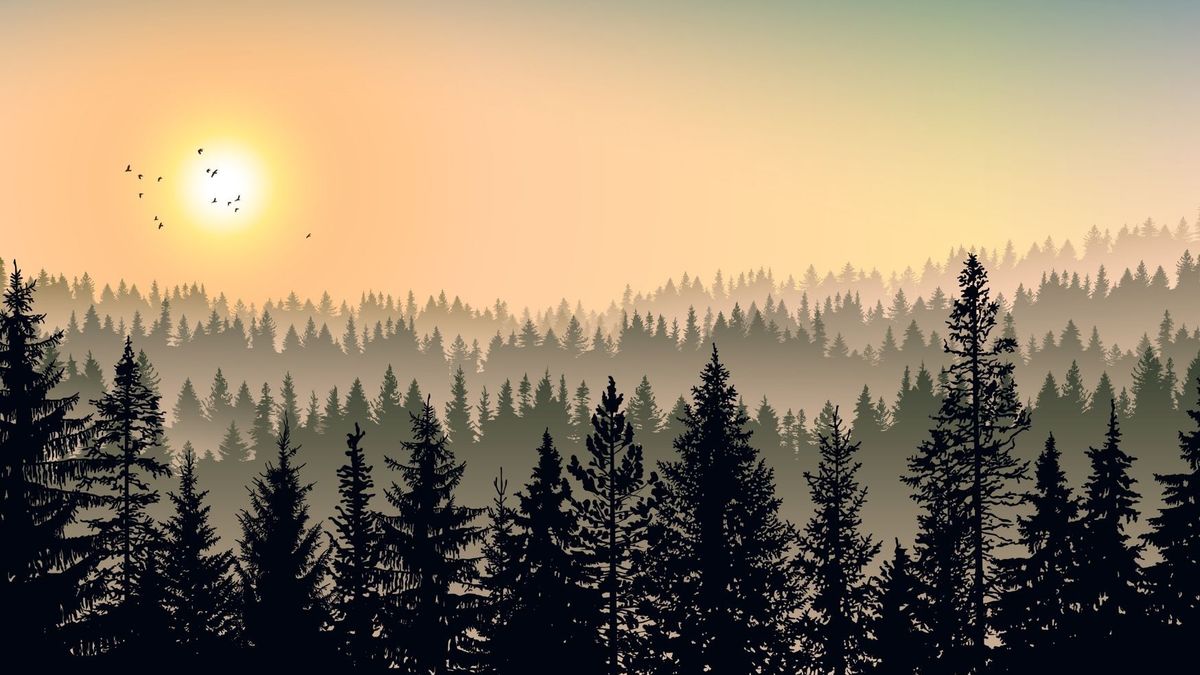 Bezdroża. Trudna krzyżówka