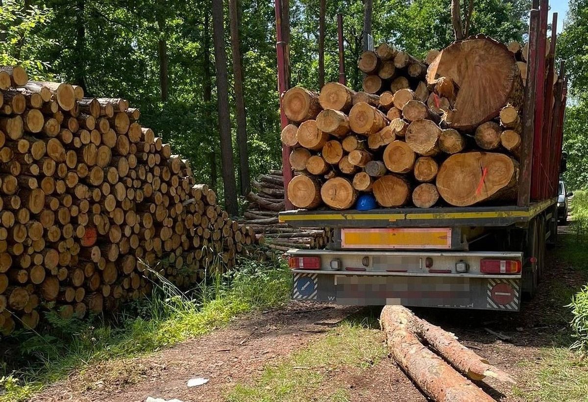 Wypadek przy załadunku drewna w miejscowości Brzozowica Duża 