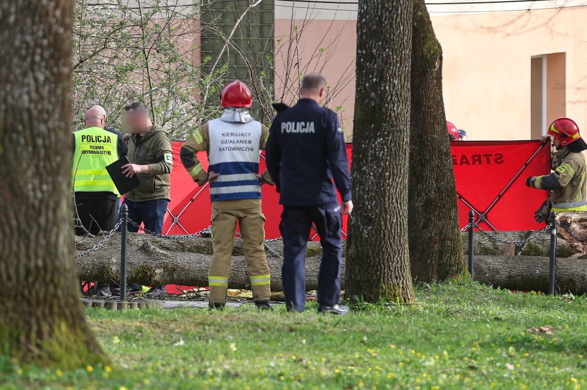 Trzy osoby, w tym sześcioletnie dziecko, zginęły przygniecione przez powalone drzewo w Rabce-Zdroju
