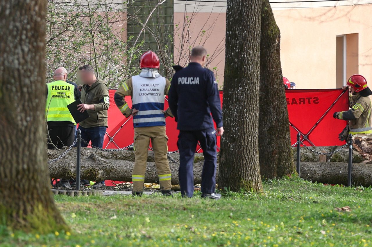 "Gdzie jest granica rozsądku". Szokujące zachowanie turystów w Tatrach