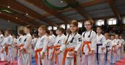 Malbork: XV Otwarte Mistrzostwa Malborka w Karate Kyokushin