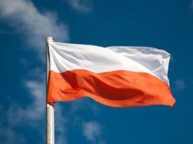 Niemiecki dziennik: Polska walczy o uznanie