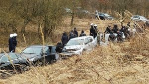 Tłumaczyli, że przyjechali na... grzyby. Policja udaremniła ustawkę