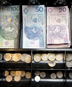 Zarobki w Polsce. Oto która sieć daje najlepsze warunki na start