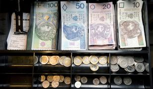 Zarobki w Polsce. Oto która sieć daje najlepsze warunki na start