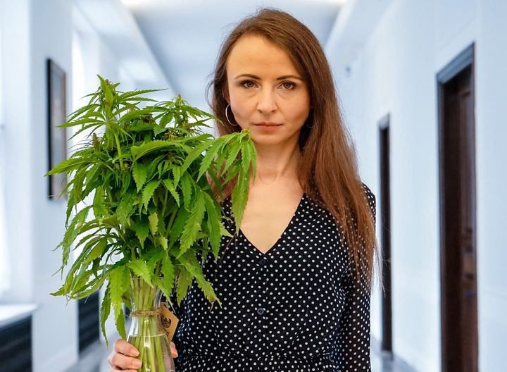 Wrocław. Marihuana znów będzie bohaterką sejmowych debat. Parlamentarzyści chcą walczyć o jej depenalizację