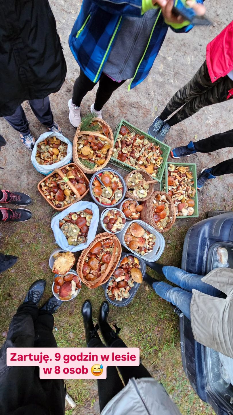 Oto efekt grzybobrania.