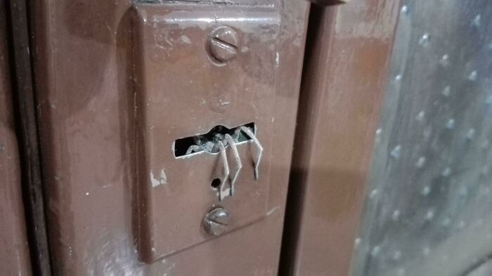 Te zdjęcia wywołują dreszcz niepokoju. Oglądasz na własną odpowiedzialność 23