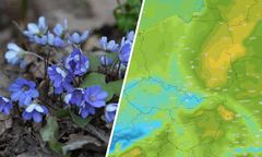 "Przyroda wie swoje". Szykuje się przełom w pogodzie?