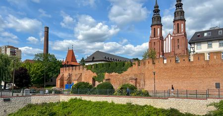 Pogoda w Opolu. Prognoza na niedzielę 25 stycznia. Śnieg nad ranem i wieczorny deszcz