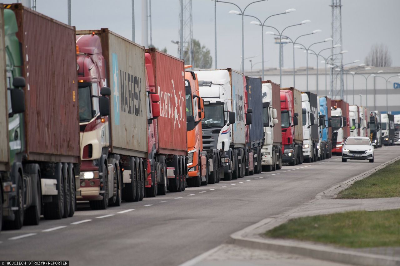 "Drastyczny wzrost kosztów". Branża: firmy walczą o przetrwanie