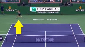 Iga Świątek wróciła w tej akcji z dalekiej podróży [WIDEO]