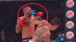 MMA. Joe Schilling padł jak rażony piorunem. Co za nokaut Tony'ego Johnsona (wideo)