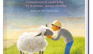 Jak się nie bać gramatyki? Gramatycznych zasad kilka – by je poznać, starczy chwilka