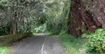 Old Pali Road - najbardziej nawiedzona droga świata