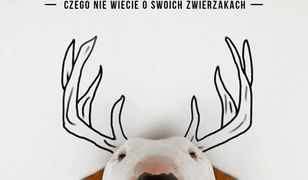 Weterynarz z przypadku. Czego nie wiecie o swoich zwierzakach