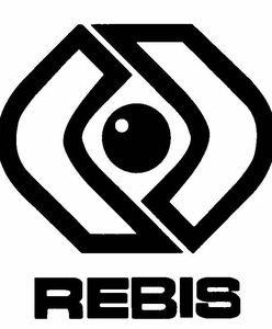 Dom Wydawniczy REBIS - wielki debiut na polskim rynku e-booków