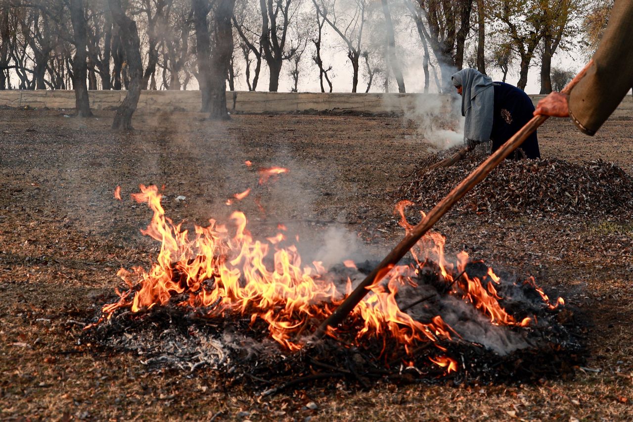 Palenie liśćmi na działce. Oto co mówi prawo