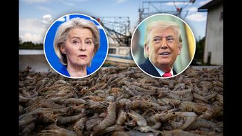 Mięso z bizona i krewetki zaleją Europę? Jest umowa z USA