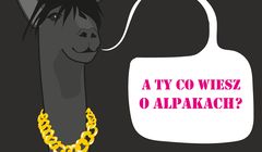 Prime Time PR obsłuży Gospodarstwo Coniraya