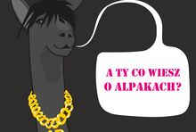 grafika
