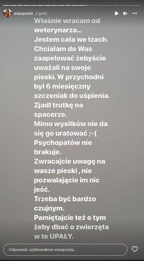 Joanna Opozda była świadkiem smutnego wydarzenia u weterynarza