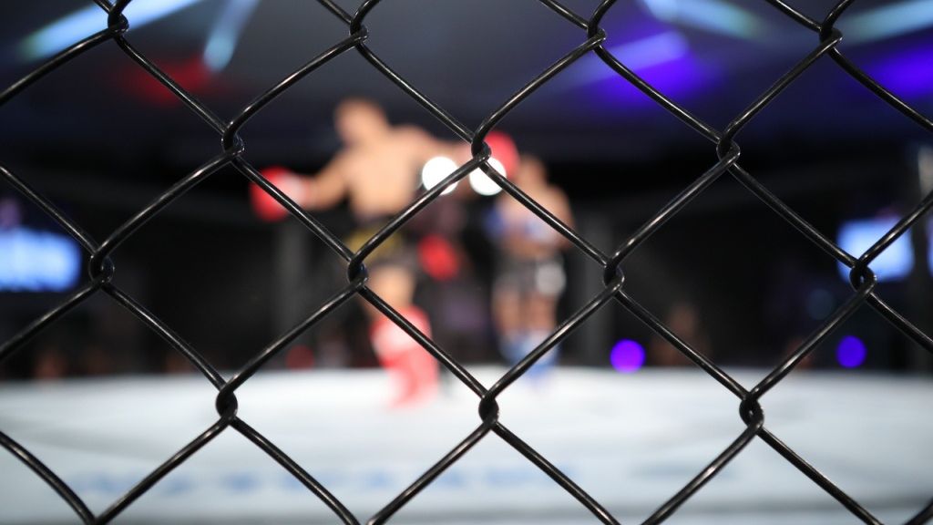 Najpopularniejsze sporty walki w Polsce