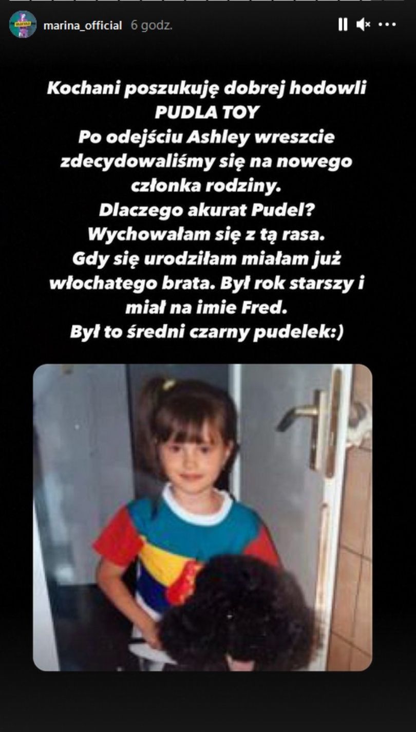 Marina Łuczenko planuje kupić pudelka