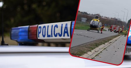 Wypadek w lesie. Gałąź spadła na mężczyznę