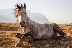 Konkurs National Geographic Traveler Photo 2014