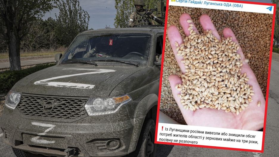 To Robią Rosjanie z zapasami ziarna w Ukrainie