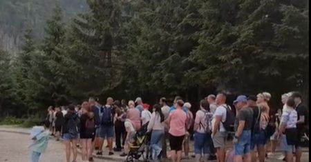 "Wstyd". Nagranie z Morskiego Oka. Kolejka do transportu konnego