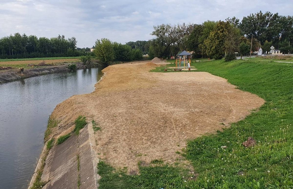 skok do wody, wypadek, paraliż Koszmarny wypadek nad rzeką. Doszło do paraliżu