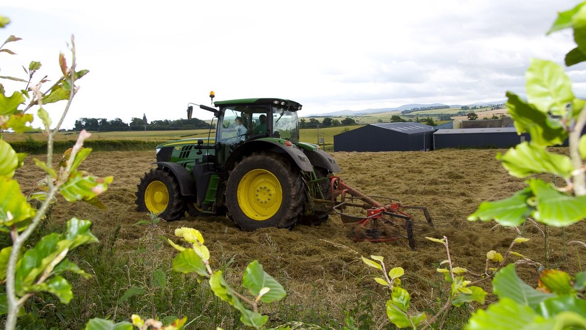 100 tysięcy złotych za hałas i zapach.