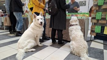 Co robić we Wrocławiu w weekend 23-24 maja? Sprawdź nasze propozycje