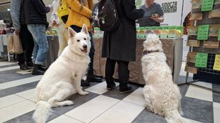 Co robić we Wrocławiu w weekend 23-24 maja? Sprawdź nasze propozycje