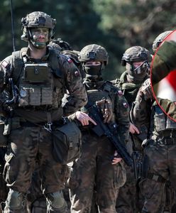 Jak przekonać Polaków do walki? Ekspert o przywróceniu poboru do wojska