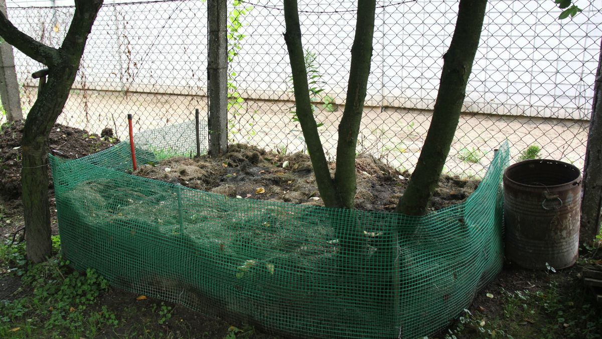 Dotacje do kompostownika. Sprawdź, kto może skorzystać