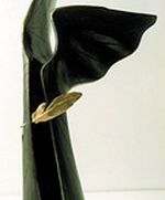 Literacka Nagroda Nike 2002. Nominacje