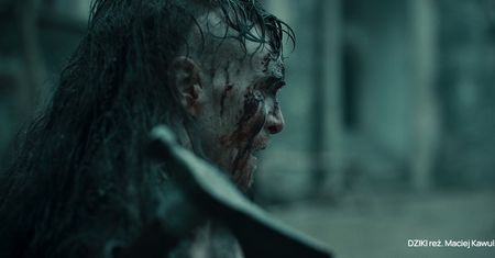 "Dziki" przyciągnie tłumy do kin? Nowy film twórcy "Akademii Pana Kleksa"
