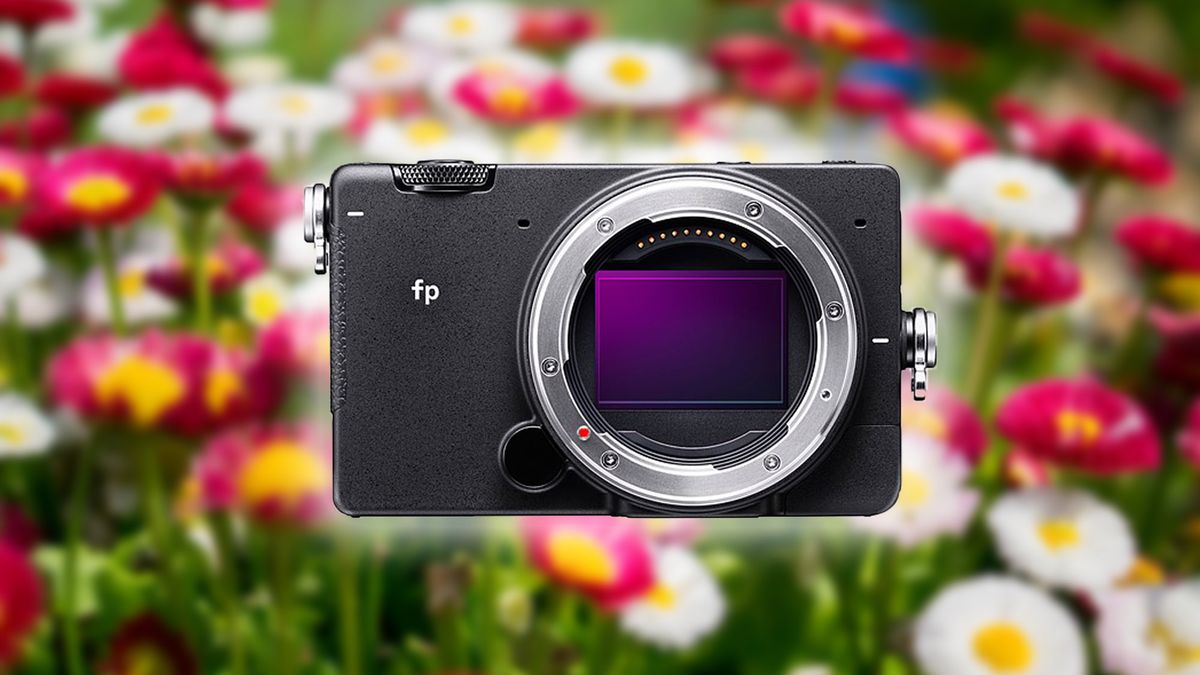 Sigma fp to najlżejsza pełna klatka, jaką do tej pory widzieliśmy 1