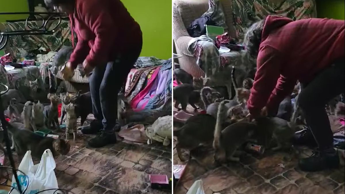 Porażające, co stało się w Tarnobrzegu