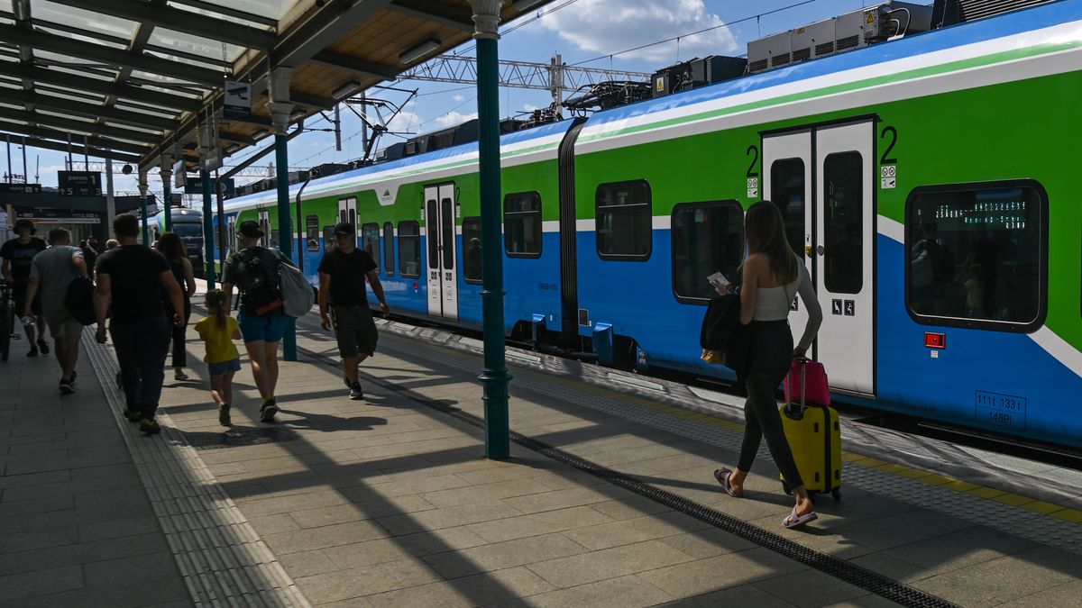 Można je złapać m.in. w pociągu. Pluskwy poważnym zagrożeniem?