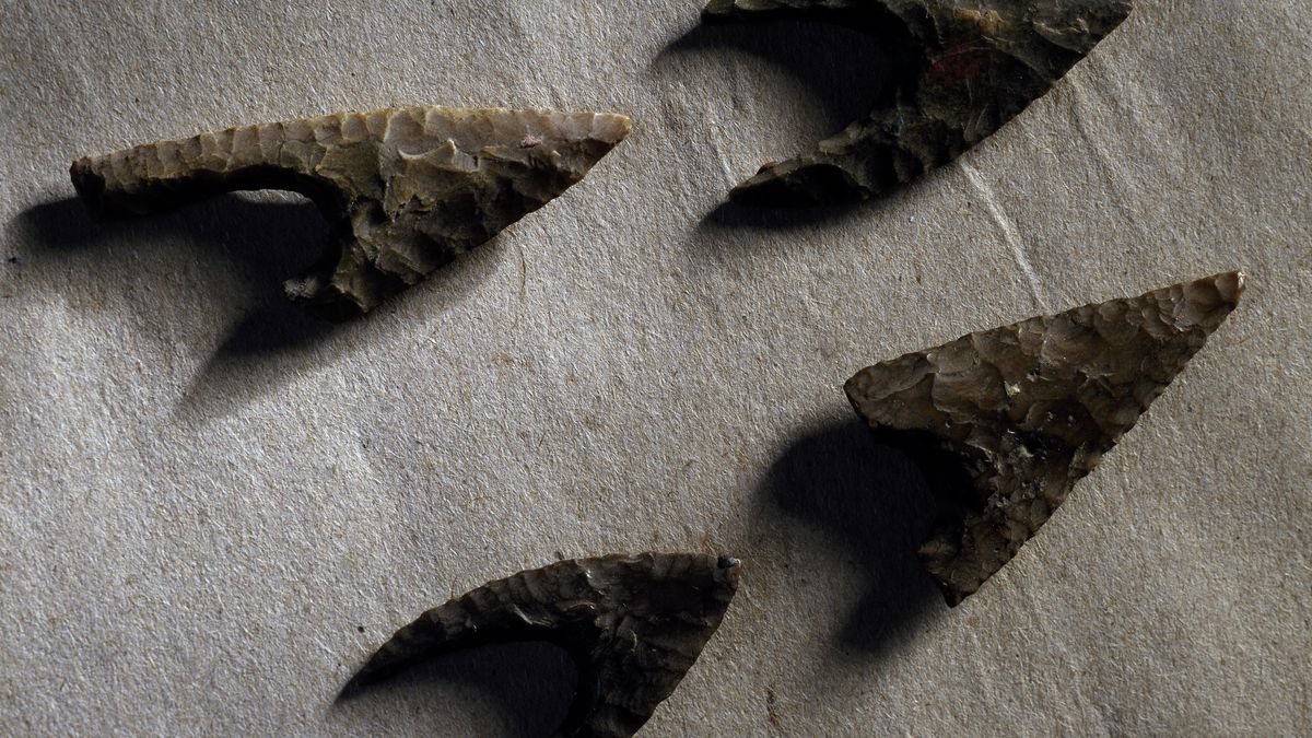 Groty strzał - zdjęcie ilustracyjne