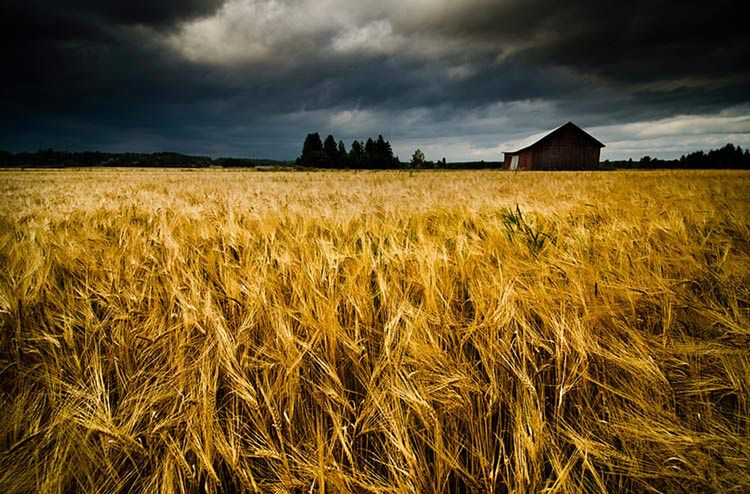 Zimą ciągła noc, latem 24 godziny słońca - jak fotografować w Finlandii? 5