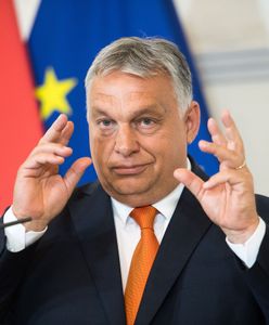 Orban o Niemczech: Nie ten sam kraj, co 10 lat temu