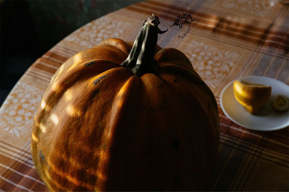 Nikon Photo Contest 2014-2015 - Polacy wśród wyróżnionych 6